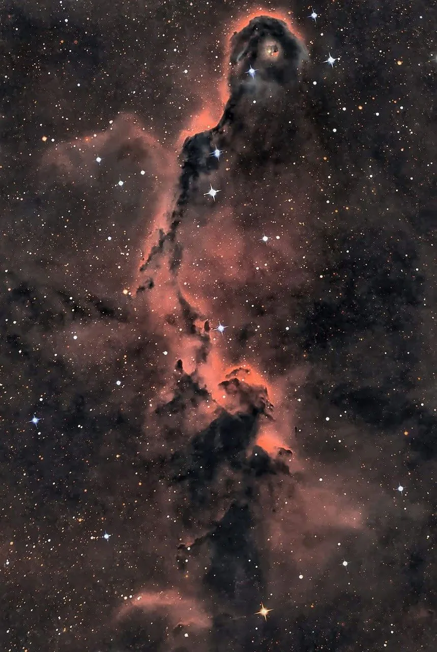 Cepheus'taki Fil Hortumu Bulutsusu'nda yeni yıldızlar doğuyor