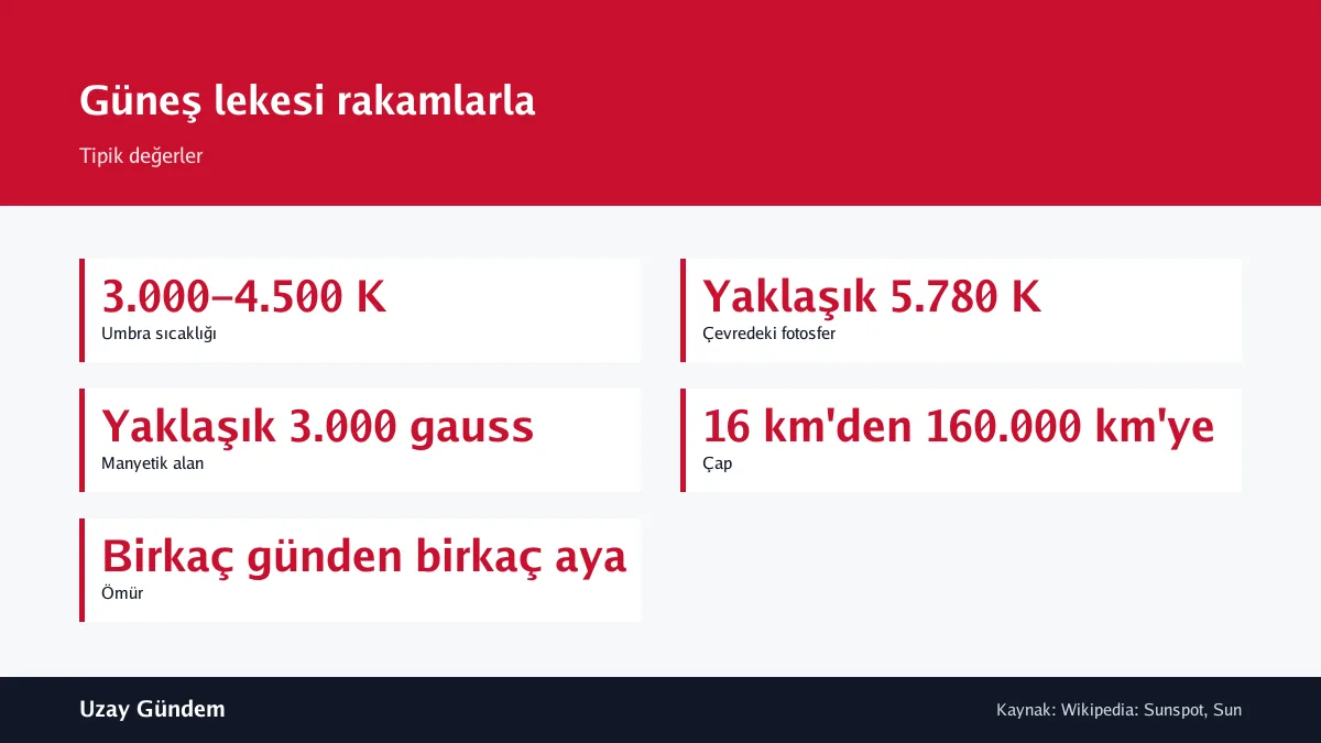 Güneş lekesi rakamlarla