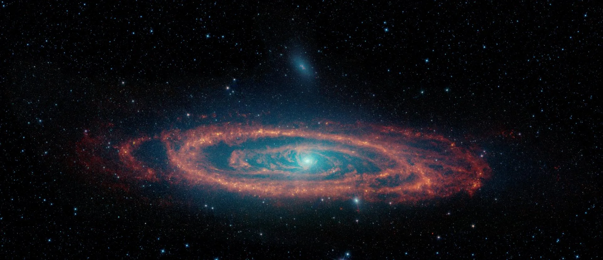 Andromeda'nın kızılötesi yüzü: Spitzer Uzay Teleskobu'nun görüntüsünde yıldızların yanı sıra toz bulutlarının halkalı yapısı öne çıkıyor.