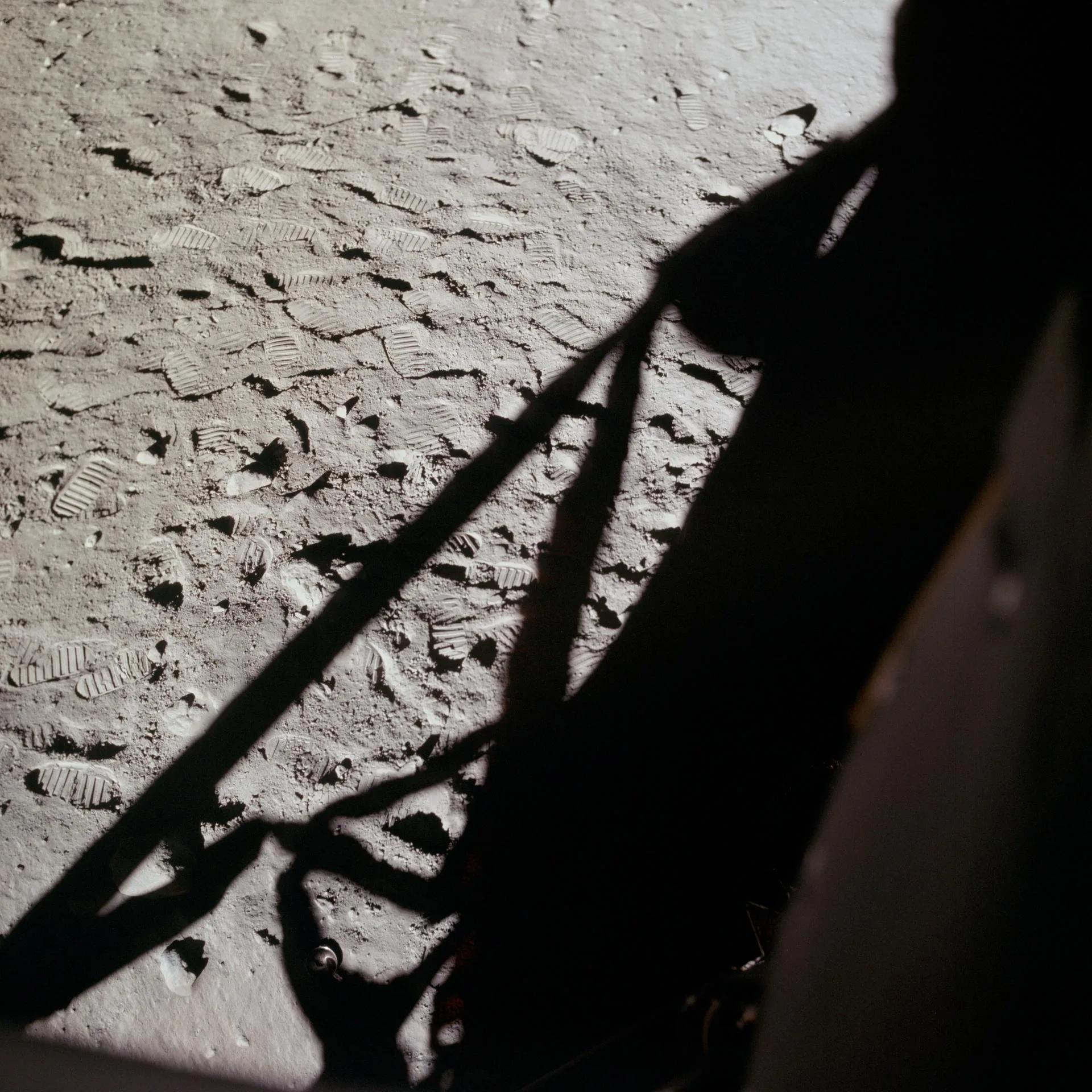 Bir Ay Masalı (Over the Moon)