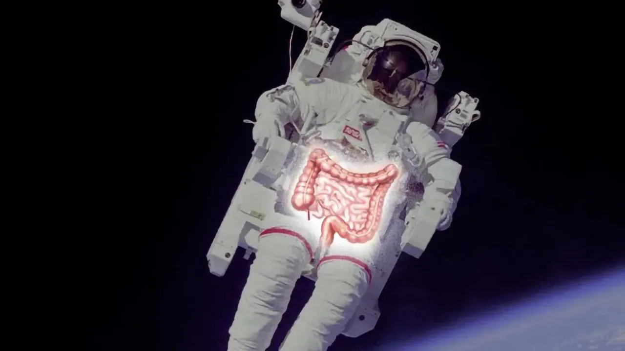 Ağırlıksızlıkta bağırsak bakterileri proteine yöneliyor: astronotlardaki kabızlığın izi