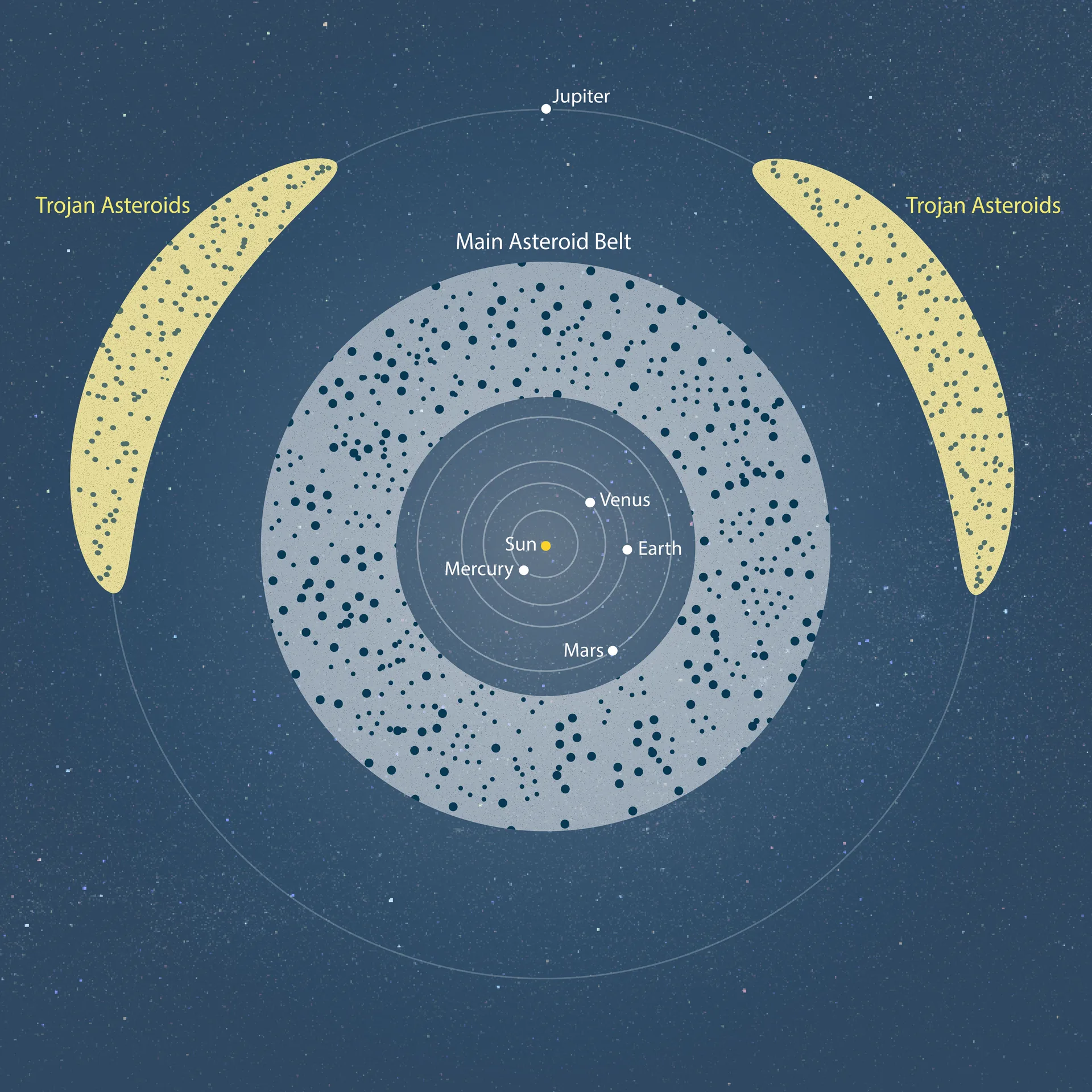 Asteroitler