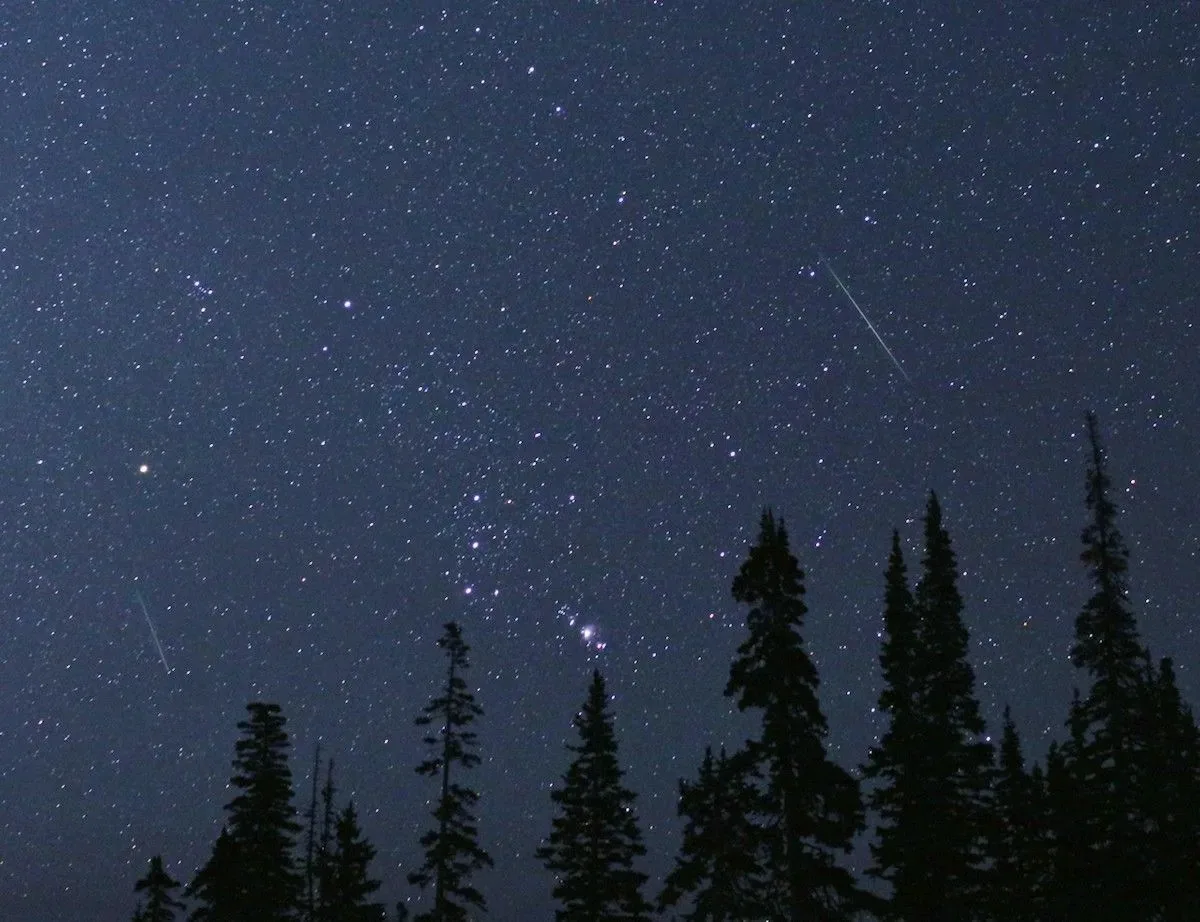 Perseidler