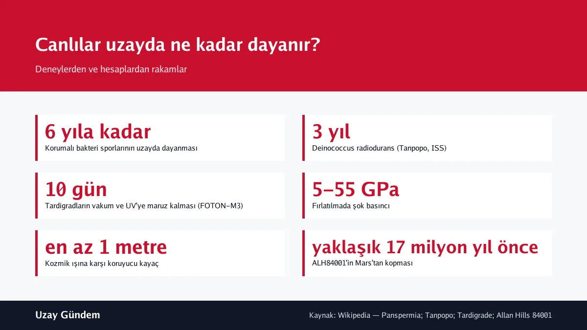 Canlılar uzayda ne kadar dayanır?
