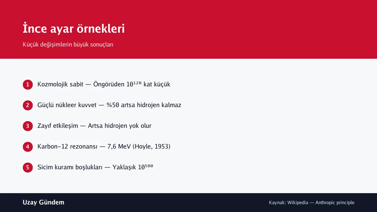 İnce ayar örnekleri