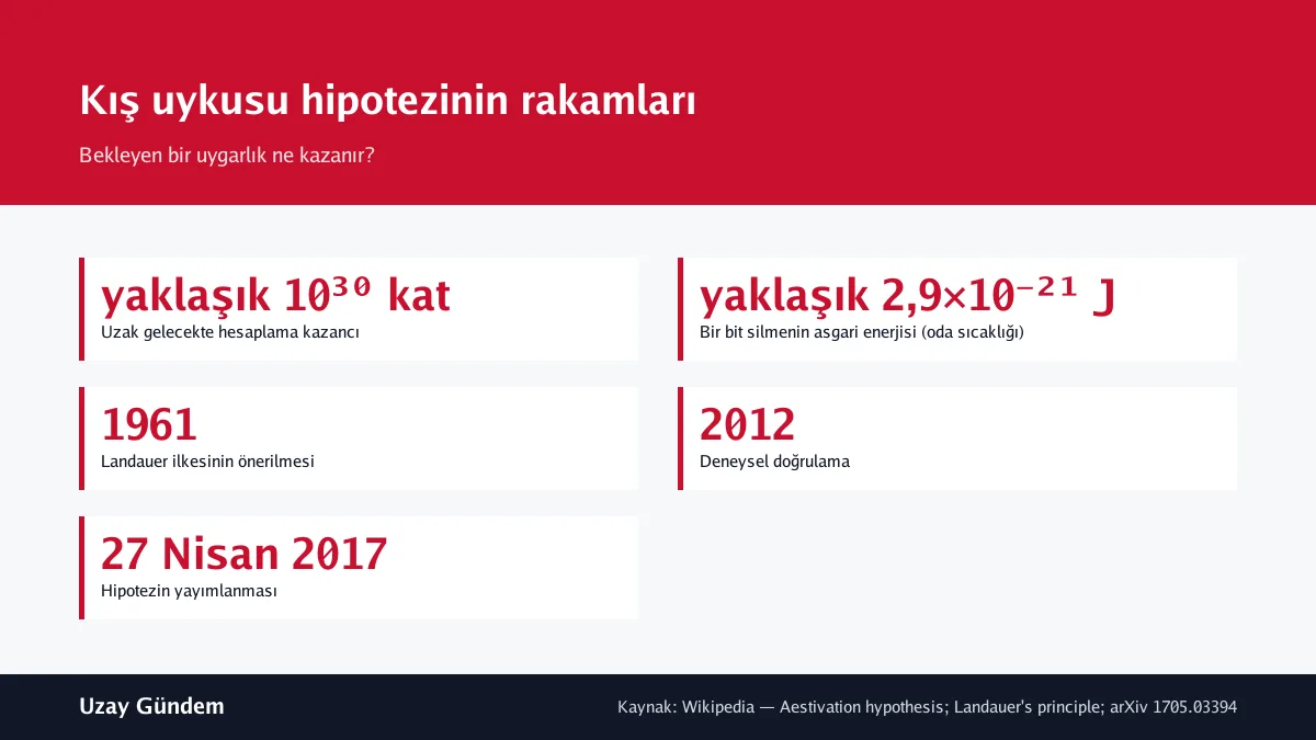 Kış uykusu hipotezinin rakamları