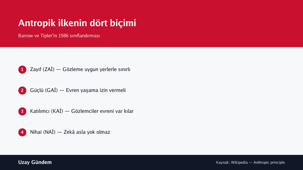 Antropik ilkenin dört biçimi