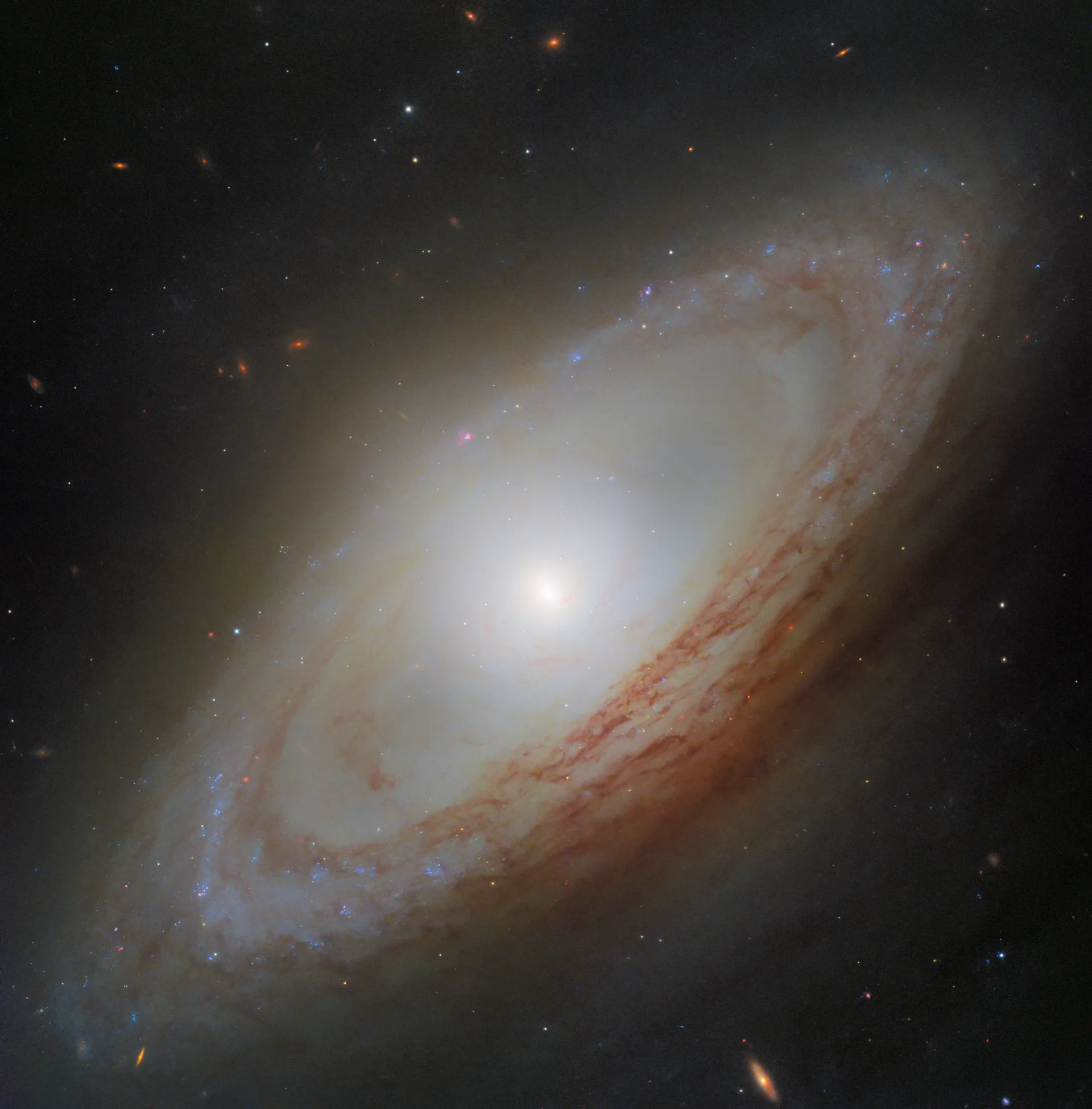 Hubble'ın sakin görünen galaksisinin merkezi diskine dik dönüyor
