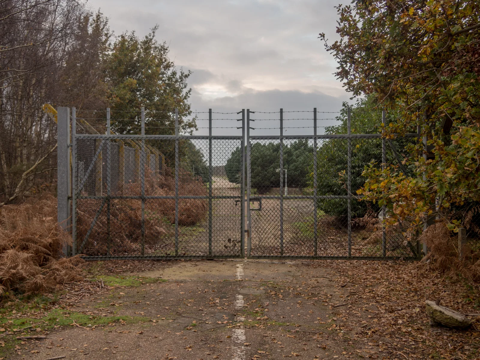 Phoenix Işıkları ve Rendlesham Ormanı: iki ünlü UFO vakası