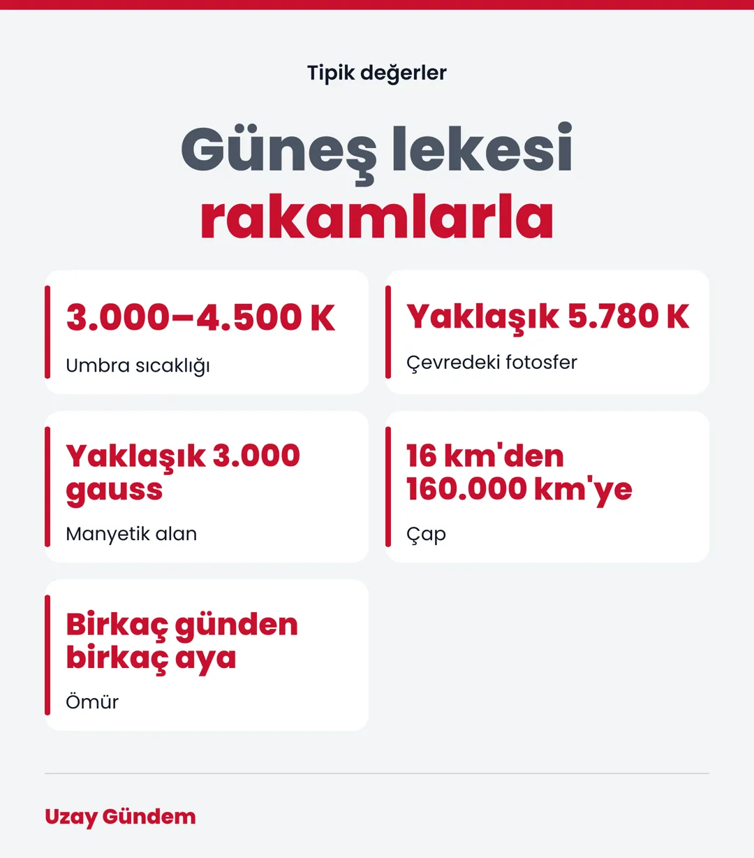 Güneş lekesi rakamlarla