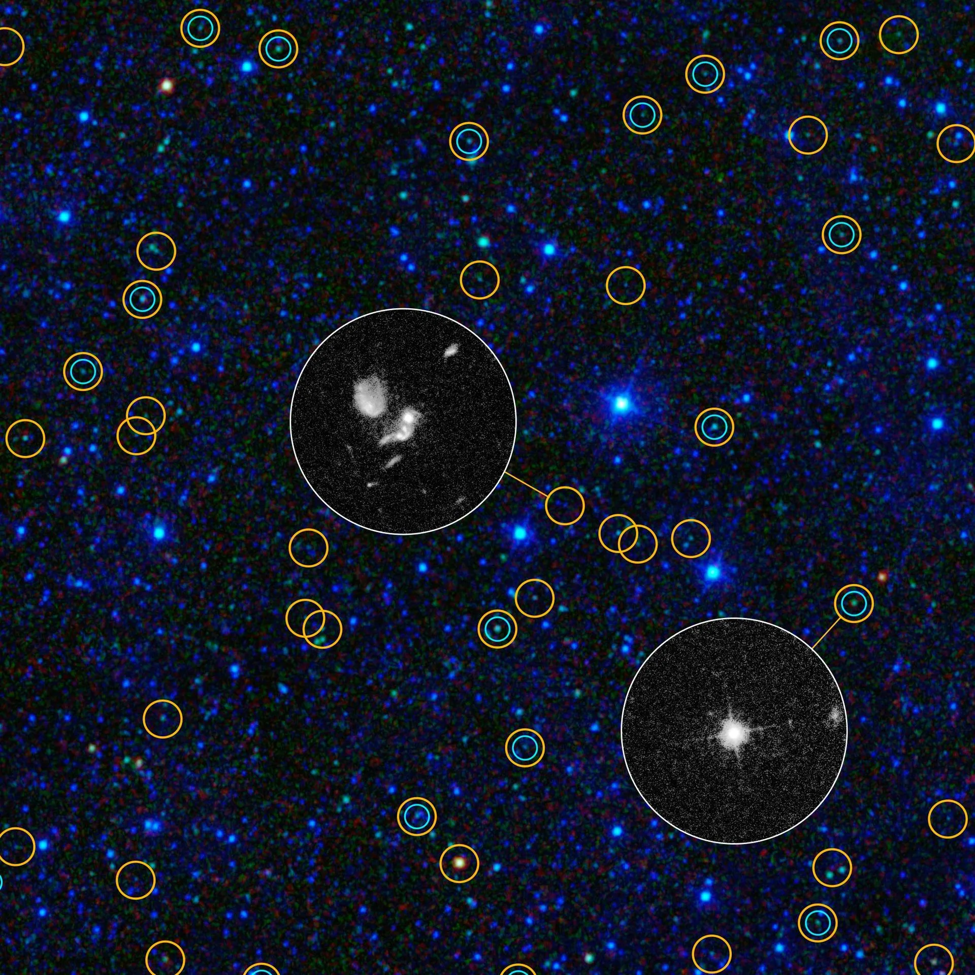 NASA'nın WISE uydusunun tüm gökyüzü taramasından yakın bir kesit: Sarı halkalar, gaz ve toz yutan süper kütleli kara delikler olan kuasar adaylarını gösteriyor.