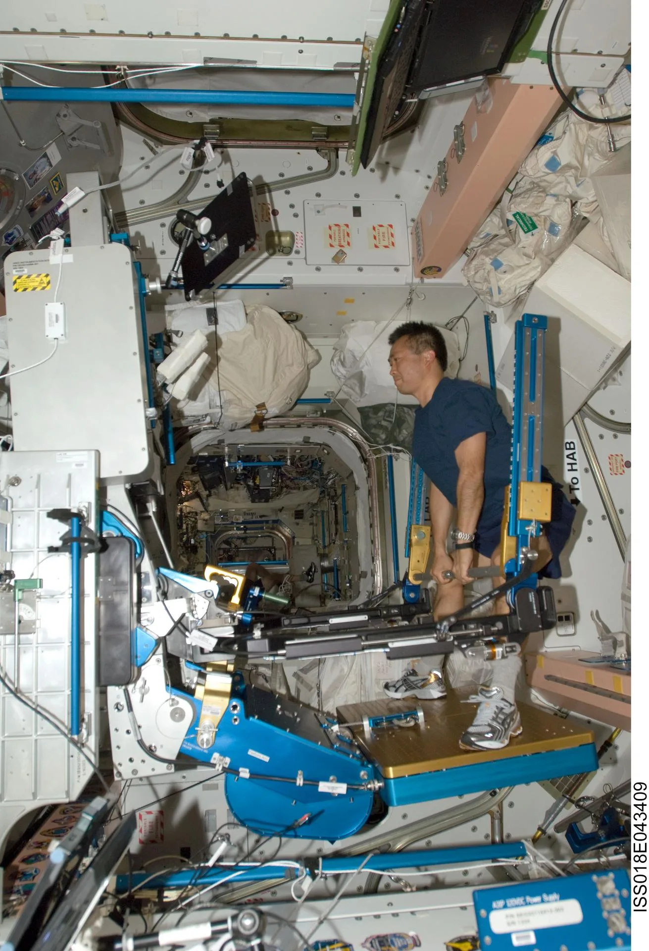 JAXA astronotu Koichi Wakata, 2009'da istasyona kurulan ARED direnç cihazında çalışıyor. Cihaz, vakum silindirleriyle serbest ağırlık hissi üretiyor.