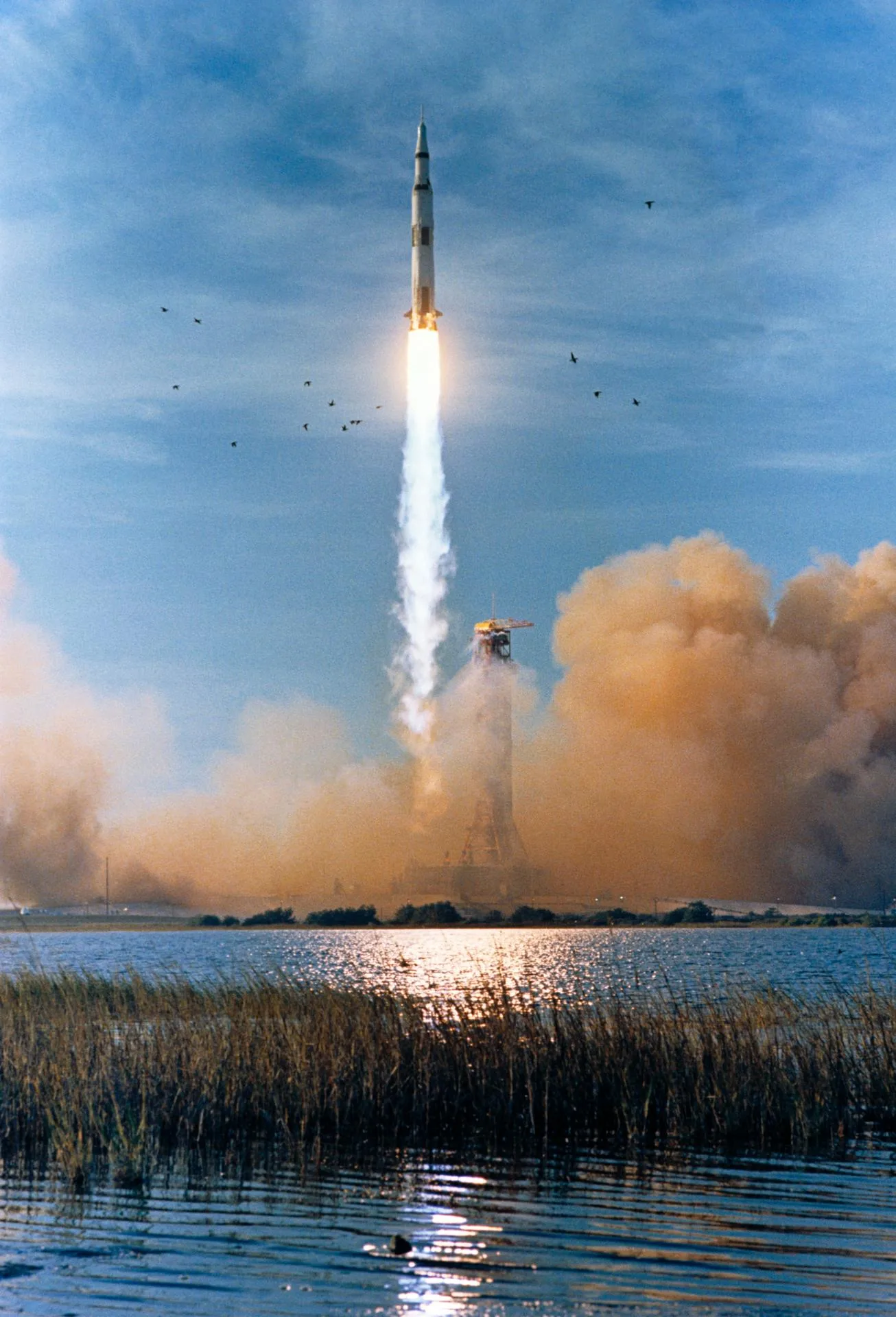 Apollo 8