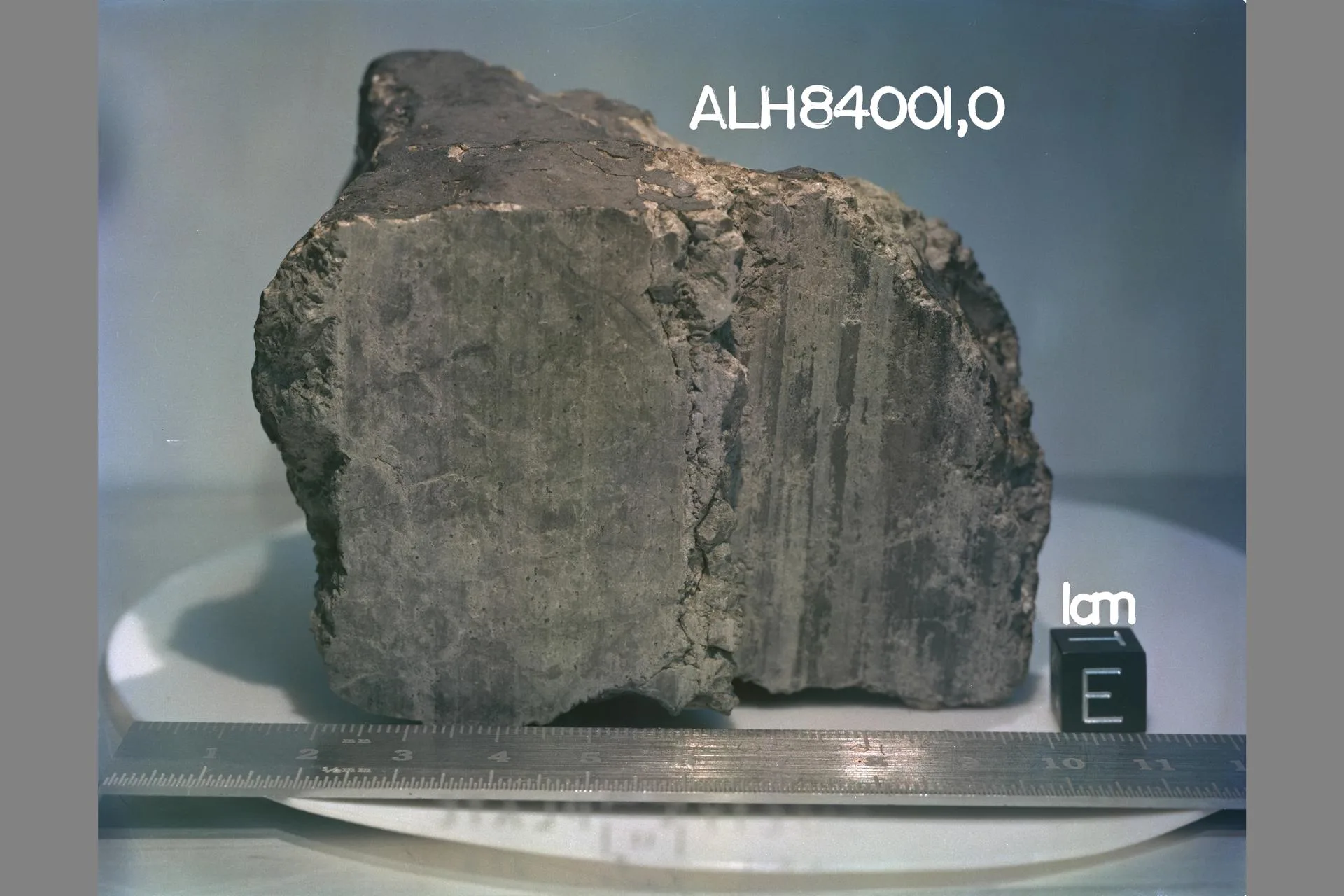 Mars kökenli ALH84001 göktaşında 1996'da tartışma yaratan, bakteri fosiline benzetilen mikroskobik yapılar