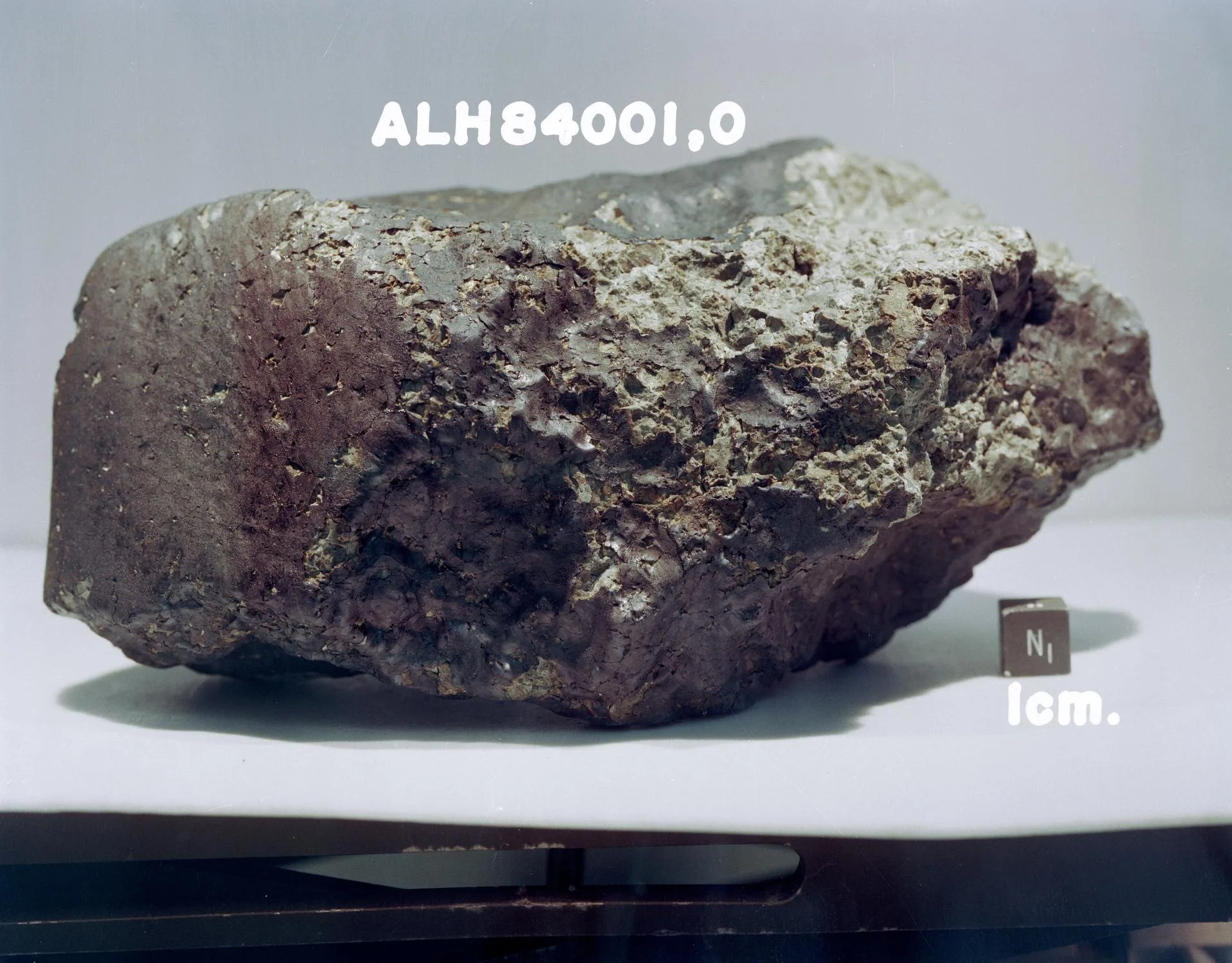 Mars kökenli ALH84001 göktaşı. 1984'te Antarktika'da bulundu; 1996'da içinde olası yaşam izleri bulunduğu iddiası büyük tartışma yarattı.