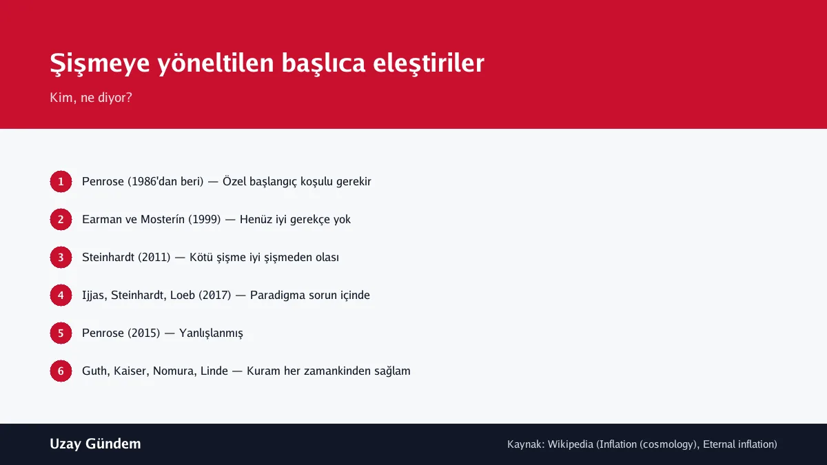 Şişmeye yöneltilen başlıca eleştiriler