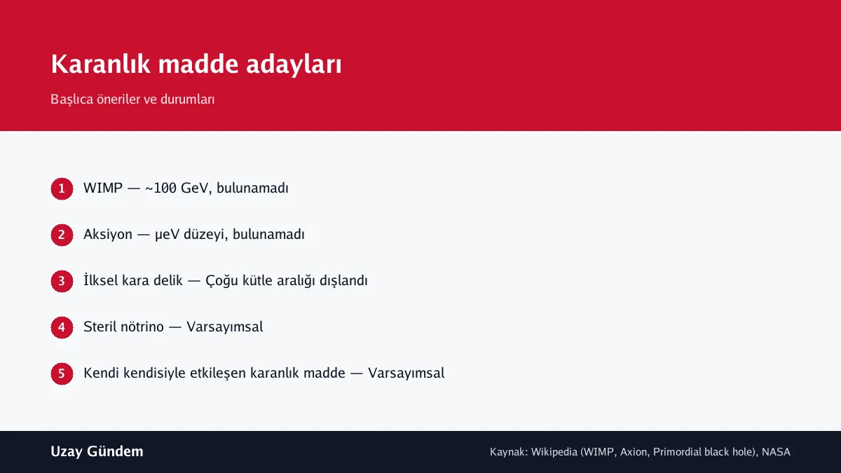 Karanlık madde adayları