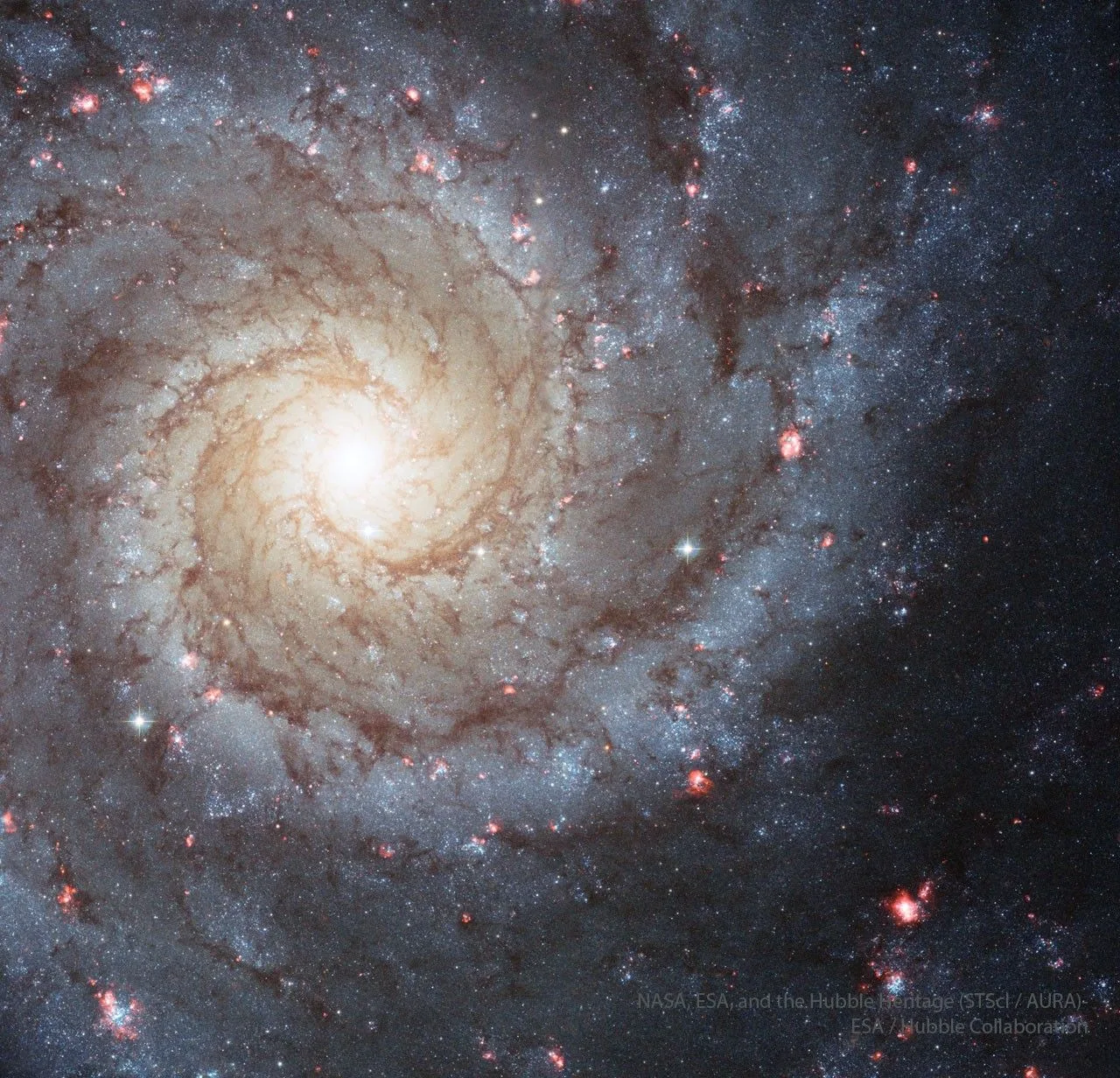 M74: Gökyüzünün en fotojenik sarmal galaksilerinden biri