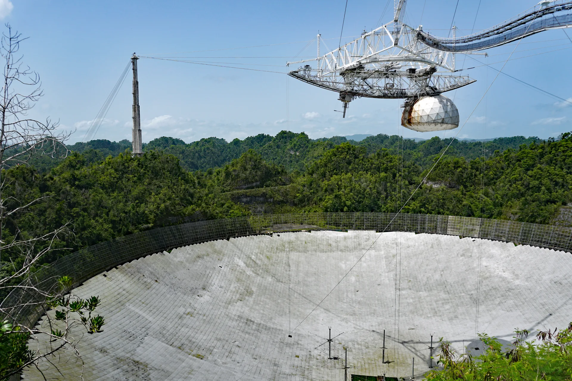 Arecibo Gözlemevi