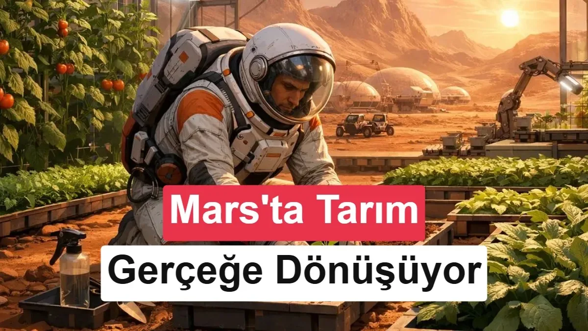 Mars toprağını tarlaya çevirmenin yolu mantar ortaklığından geçebilir